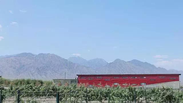 閭ｄ簺鍧愭嫢鍗冧竾閰掑簞鐨勬槑鏄熶滑,鍝簺鏄庢槦涔颁簡娉曞浗閰掑簞