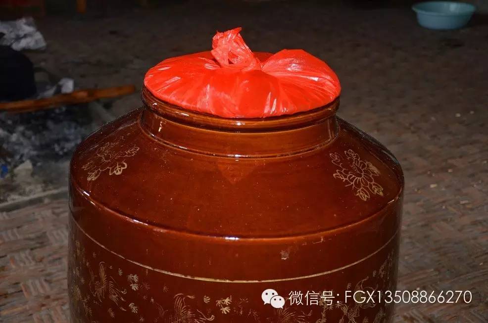 山里野生的杨梅你吃过吗,杨梅佳酿你们喝过吗