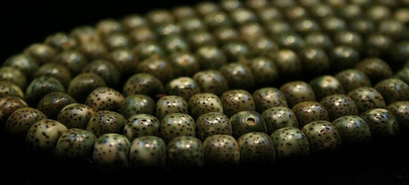 星月菩提阴皮值得玩吗,星月菩提阴皮能盘红吗