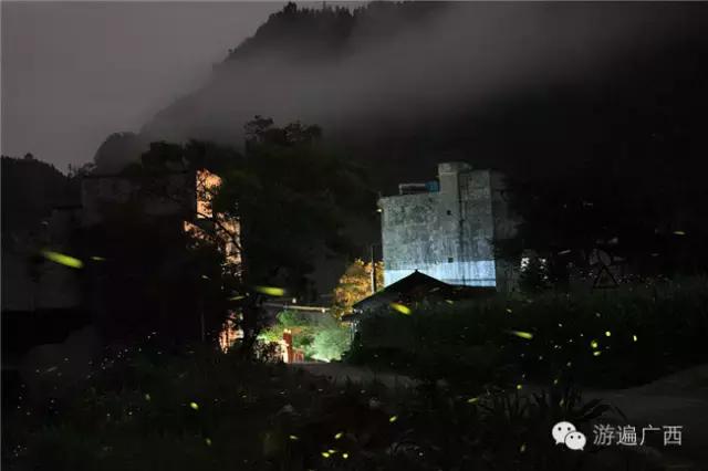 广西乐业出现神秘萤火之光，堪比美国大片！