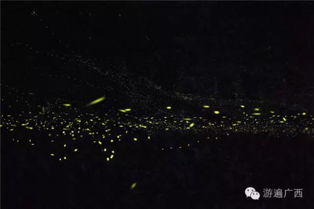 广西乐业出现神秘萤火之光，堪比美国大片！