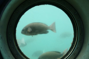 jr大阪一日游,大阪jr旅游攻略