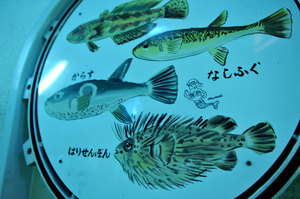 jr大阪一日游,大阪jr旅游攻略