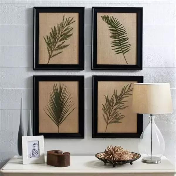 家里再穷也要丢掉的绿植,绿植盆栽都扔了