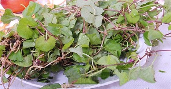 云南人必点的一道菜,云南的一道重口味美食