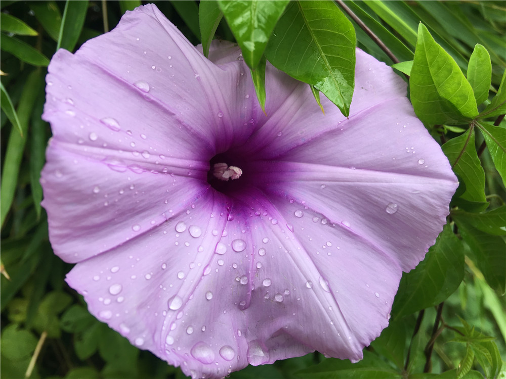 cool1dual有多少软件,cool1dual怎么截图