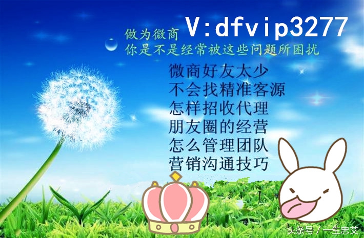 微商怎样做才能做得最好,微商怎么做活动营销策略