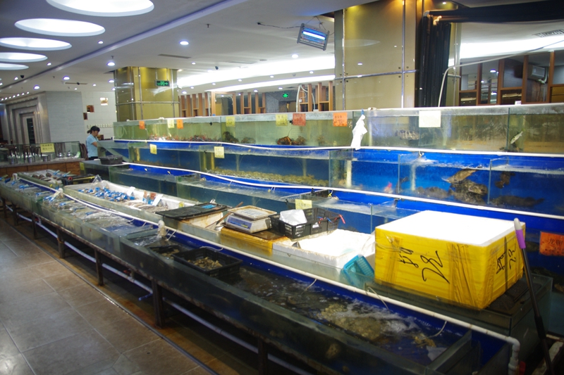 多变揽鲜又出新招:海鲜火锅霸王锅后这次出个五层塔!