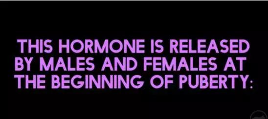 老司机参加考试,老司机考试评判标准