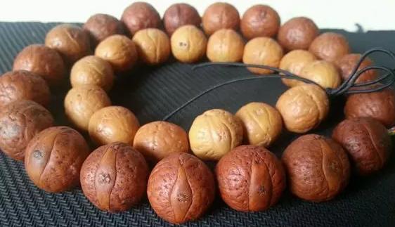 凤眼菩提子手串直播,青皮凤眼菩提直播