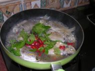 白鲳鱼和肉鲳鱼,白鲳鱼和肉鲳鱼哪种好