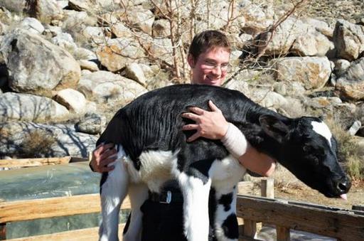 媲美哈佛的另类美国大学，深泉学院