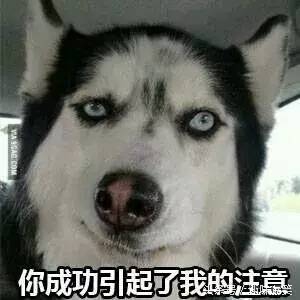 今天第一次看到女朋友下面,黑不溜秋的两片肉,我发飙了。