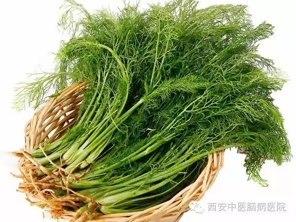 中医中的抗生素有哪些,中医专家推荐的消炎药