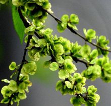 曾经那些读不懂的课文,曾经课文