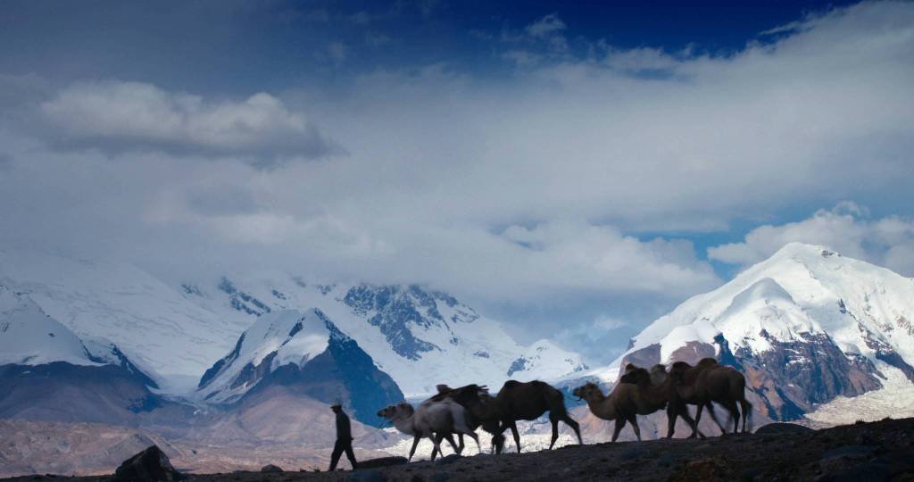 奇域探秘,奇域探秘新丝路第二季