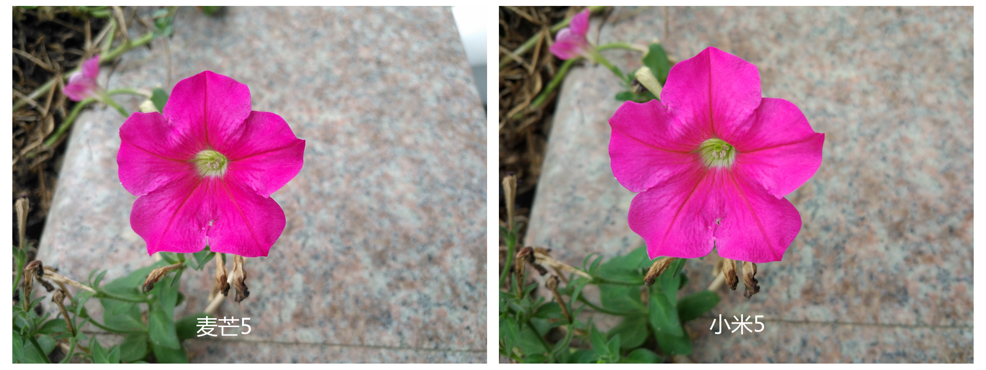 华为麦芒5怎么样值得买吗,华为麦芒5体验评测