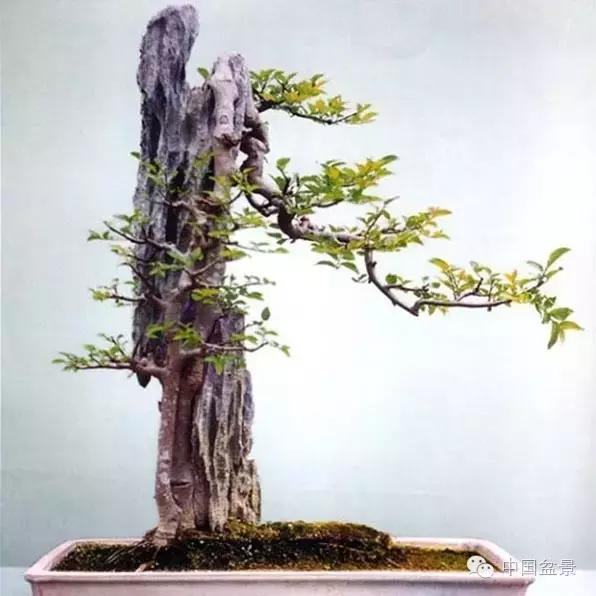 相识满天下知己有几人谁说的,相识满天下知己无一人出处