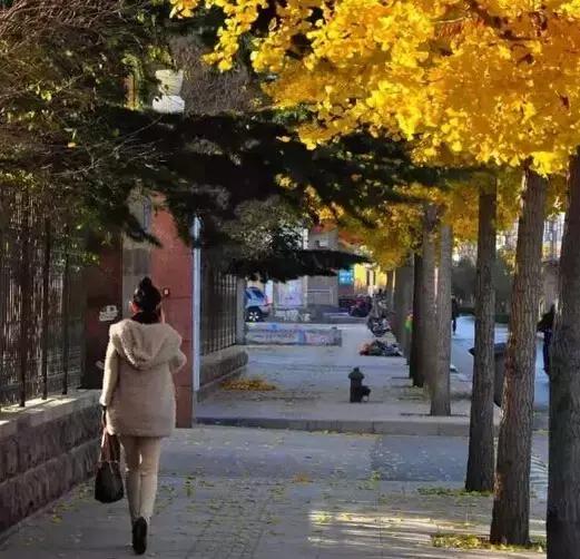 蒙自这座城市美丽吗,蒙自是一个四季皆有景的城市