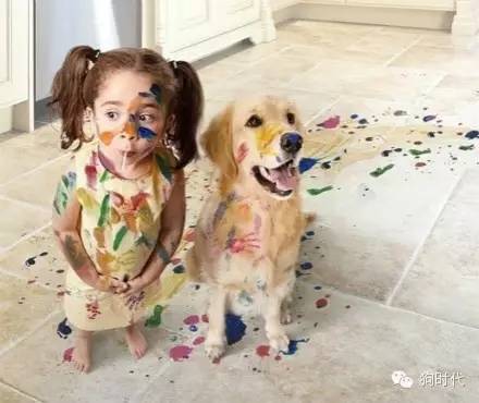 生个孩子养只猫和狗,生个孩子养只狗