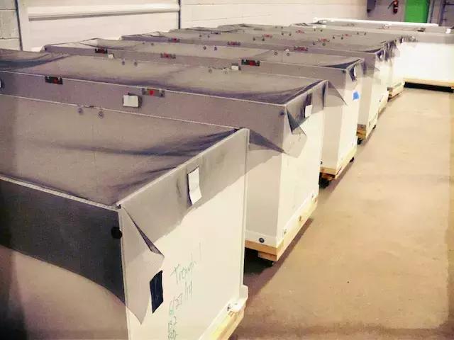 洪荒之力用尽了,来根蟋蟀君做成的能量棒吧!