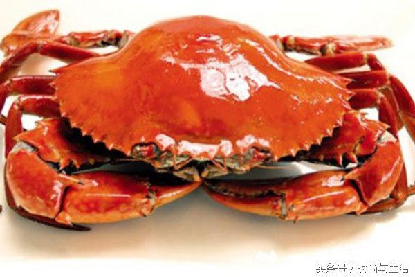 哺乳期可以吃螃蟹吗,哺乳期吃螃蟹可以吃榴莲吗