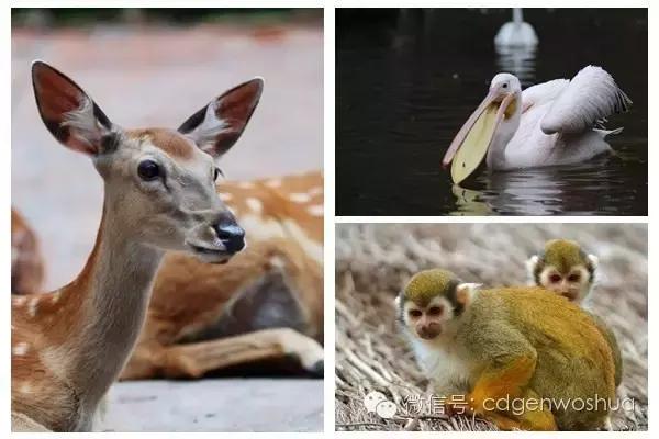 这个暑假值得带孩子去的地方,假期孩子最适合去的地方