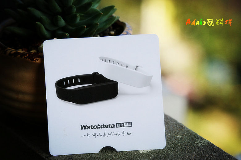 随手支付“宝”沪上生活更便利