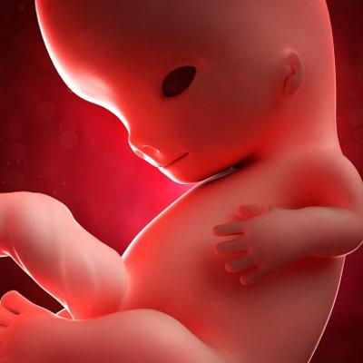 怀孕第9个月的视频,怀孕第9个月应注意什么