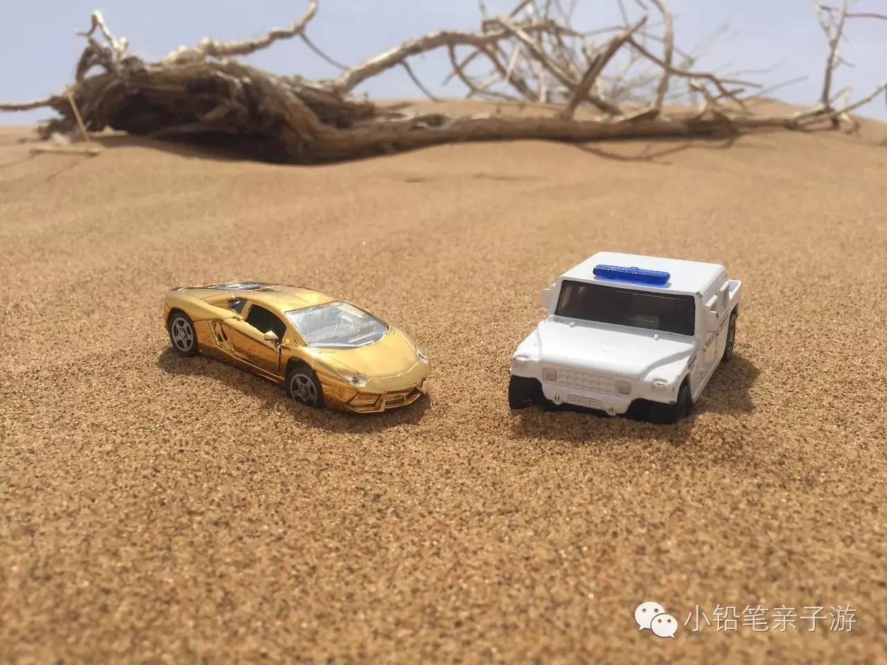 爸爸去哪儿宁夏沙坡头片段,爸爸去哪儿宁夏沙坡头