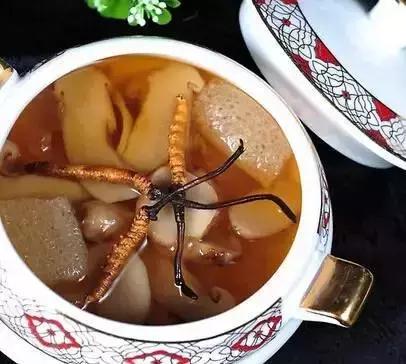 冬虫夏草|冬病夏治——“天下第一草”