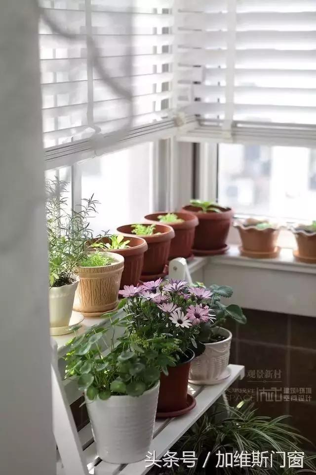 封装自家阳台合法吗,阳台封装铝合金窗户