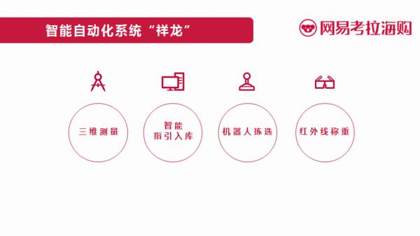 网易跨境平台,网易跨境出海电商平台