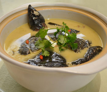 夫妻备孕怎么提高命中率,备孕需要怎么做才能提高怀孕几率