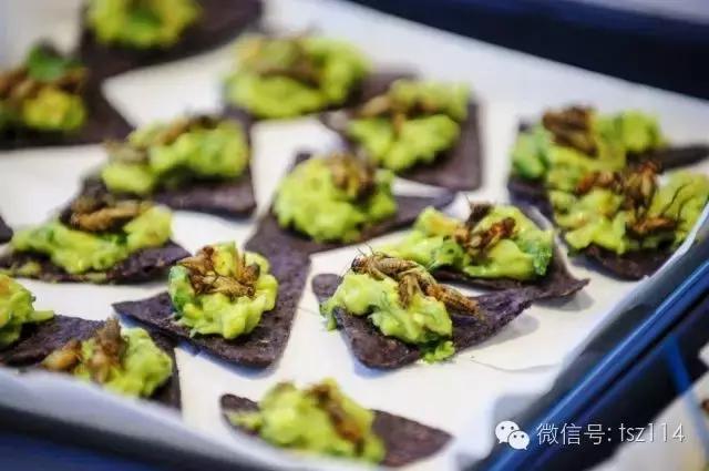 盘点各国奇葩的黑暗系美食,盘点那些超奇葩美食地狱级