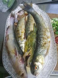 美味红烧鱼小班教案,粘土美味红烧鱼