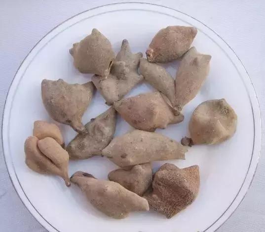 金色梦舞台打坐,金色梦舞台健身