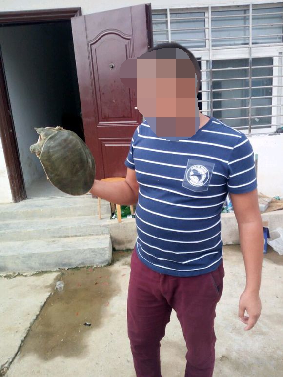 钓到一只野生甲鱼视频,钓到一只甲鱼