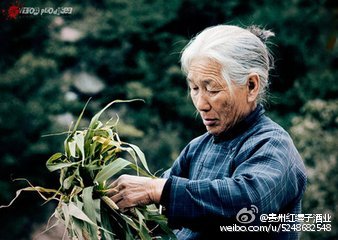 鎴戠殑濂跺ザ鍘讳笘浜嗙殑鎰熷彈,鎴戠殑濂跺ザ鍘讳笘