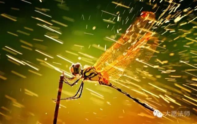 遇到逆境的时候你该怎么办,面对逆境该怎么做