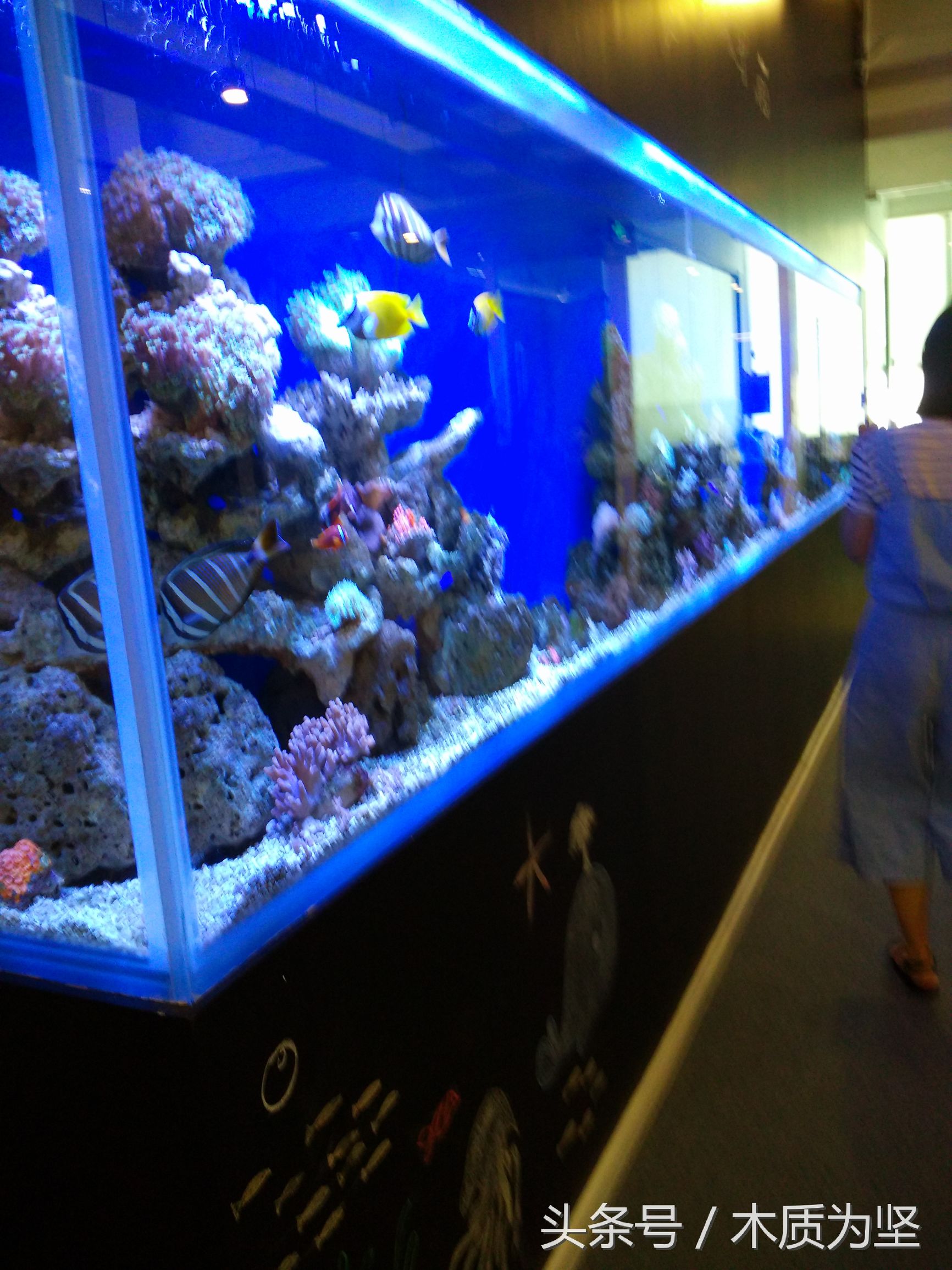 拜访深圳创客空间,看到了凤凰卫视曾做专访的角落(2)。。。