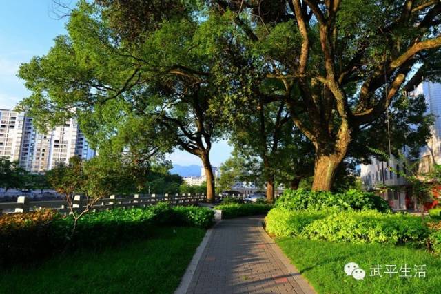 一封武平籍在厦外企的白领丽人的辞职信，看得我自信爆棚!