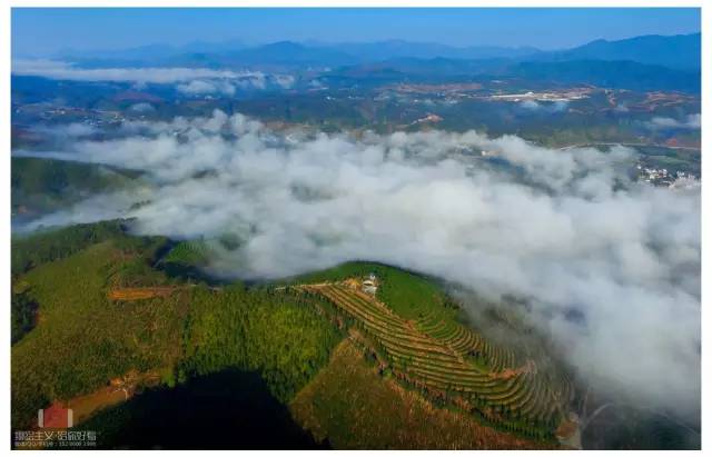 一封武平籍在厦外企的白领丽人的辞职信，看得我自信爆棚!