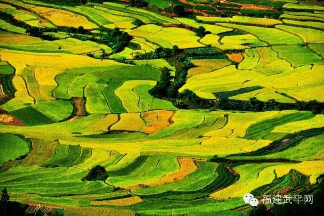 一封武平籍在厦外企的白领丽人的辞职信，看得我自信爆棚!