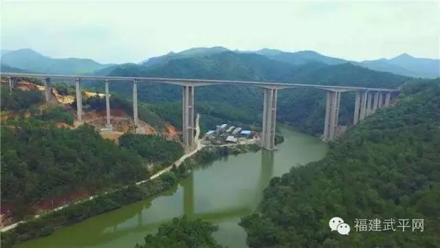 一封武平籍在厦外企的白领丽人的辞职信，看得我自信爆棚!