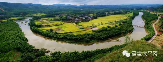 一封武平籍在厦外企的白领丽人的辞职信，看得我自信爆棚!