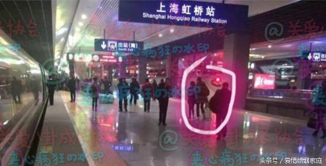 王宝强和马蓉互撕的结果:血淋淋,散落一地鸡毛