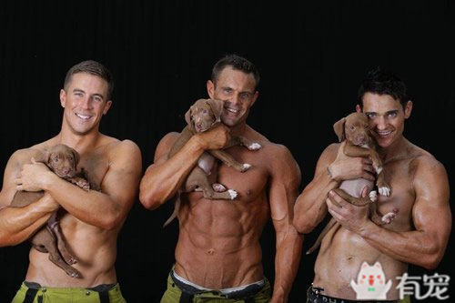 搜救犬看见消防员抱着小奶狗 (消防员训练发现小奶狗)