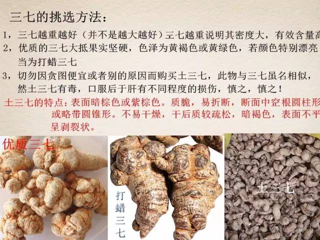 三七的用法用量功能主治,三七石斛的功能与用法