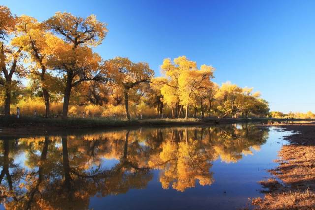 宝宝，你值得拥有所有最好的。